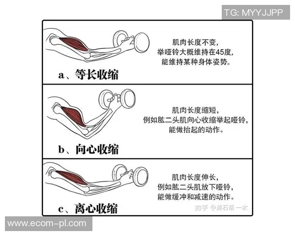 成都排球队耐力训练的挑战与突破分析