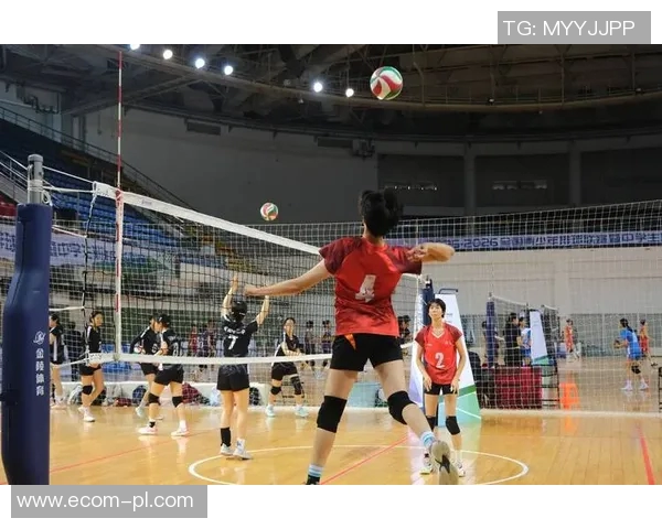 重庆排球队的耐力探秘与排球巨献的精彩瞬间