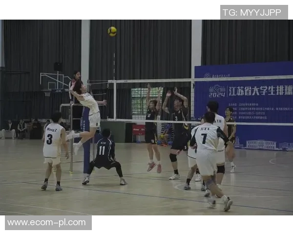 深圳排球队的崛起与发展：聚焦力量与团队精神的完美结合